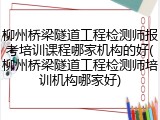 柳州桥梁隧道工程检测师报考培训课程哪家机构的好(柳州桥梁隧道工程检测师培训机构哪家好)
