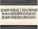 宣城桥梁隧道工程检测师报考培训课程哪家机构的好(宣城桥梁隧道检测机构好)