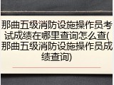 那曲五级消防设施操作员考试成绩在哪里查询怎么查(那曲五级消防设施操作员成绩查询)