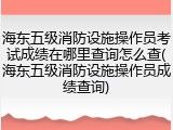 海东五级消防设施操作员考试成绩在哪里查询怎么查(海东五级消防设施操作员成绩查询)