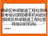 铜梁区桥梁隧道工程检测师报考培训课程哪家机构的好(铜梁区桥梁隧道工程检测师培训好机构)