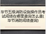 毕节五级消防设施操作员考试成绩在哪里查询怎么查(毕节消防成绩查询)