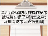 深圳五级消防设施操作员考试成绩在哪里查询怎么查(深圳消防考试成绩查询)