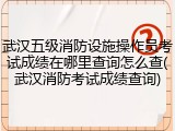 武汉五级消防设施操作员考试成绩在哪里查询怎么查(武汉消防考试成绩查询)