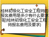 桂林初级化工安全工程师的报名费用是多少有什么要求呢(桂林初级化工安全工程师报名费用及要求)