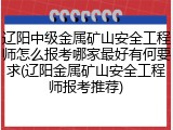 辽阳中级金属矿山安全工程师怎么报考哪家最好有何要求(辽阳金属矿山安全工程师报考推荐)