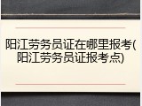 阳江劳务员证在哪里报考(阳江劳务员证报考点)