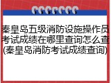 秦皇岛五级消防设施操作员考试成绩在哪里查询怎么查(秦皇岛消防考试成绩查询)