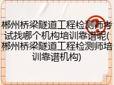 郴州桥梁隧道工程检测师考试找哪个机构培训靠谱呢(郴州桥梁隧道工程检测师培训靠谱机构)