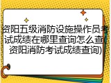 资阳五级消防设施操作员考试成绩在哪里查询怎么查(资阳消防考试成绩查询)