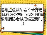 梧州二级消防安全管理员考试成绩公布时间如何查询(梧州消防考试成绩查询时间)