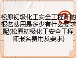 松原初级化工安全工程师的报名费用是多少有什么要求呢(松原初级化工安全工程师报名费用及要求)