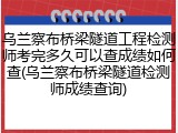 乌兰察布桥梁隧道工程检测师考完多久可以查成绩如何查(乌兰察布桥梁隧道检测师成绩查询)