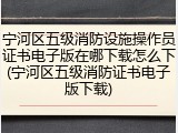 宁河区五级消防设施操作员证书电子版在哪下载怎么下(宁河区五级消防证书电子版下载)