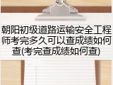 朝阳初级道路运输安全工程师考完多久可以查成绩如何查(考完查成绩如何查)