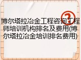 博尔塔拉冶金工程咨询工程师培训机构排名及费用(博尔塔拉冶金培训排名费用)