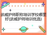 武威护师职称培训学校哪里好(武威护师培训优选)
