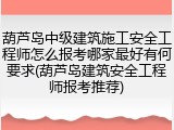 葫芦岛中级建筑施工安全工程师怎么报考哪家最好有何要求(葫芦岛建筑安全工程师报考推荐)