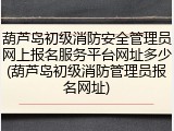 葫芦岛初级消防安全管理员网上报名服务平台网址多少(葫芦岛初级消防管理员报名网址)