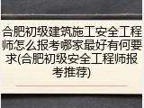 合肥初级建筑施工安全工程师怎么报考哪家最好有何要求(合肥初级安全工程师报考推荐)