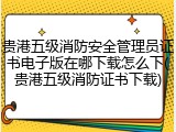 贵港五级消防安全管理员证书电子版在哪下载怎么下(贵港五级消防证书下载)