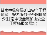 甘南中级金属矿山安全工程师网上报名服务平台网址多少(甘南中级金属矿山安全工程师报名网址)