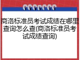商洛标准员考试成绩在哪里查询怎么查(商洛标准员考试成绩查询)