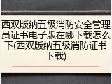 西双版纳五级消防安全管理员证书电子版在哪下载怎么下(西双版纳五级消防证书下载)