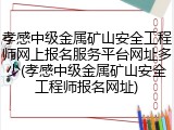 孝感中级金属矿山安全工程师网上报名服务平台网址多少(孝感中级金属矿山安全工程师报名网址)