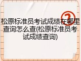 松原标准员考试成绩在哪里查询怎么查(松原标准员考试成绩查询)