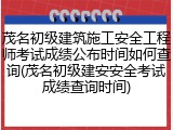 茂名初级建筑施工安全工程师考试成绩公布时间如何查询(茂名初级建安安全考试成绩查询时间)