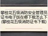 攀枝花五级消防安全管理员证书电子版在哪下载怎么下(攀枝花五级消防证书下载)