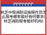 林芝中级消防设施操作员怎么报考哪家最好有何要求(林芝消防报考最好机构)