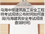 乌海中级建筑施工安全工程师考试成绩公布时间如何查询(乌海建筑安全考试成绩查询时间)