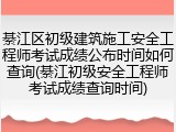 綦江区初级建筑施工安全工程师考试成绩公布时间如何查询(綦江初级安全工程师考试成绩查询时间)