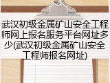 武汉初级金属矿山安全工程师网上报名服务平台网址多少(武汉初级金属矿山安全工程师报名网址)