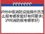 泸州中级消防设施操作员怎么报考哪家最好有何要求(泸州消防报考哪家好)