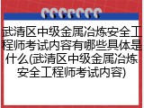 武清区中级金属冶炼安全工程师考试内容有哪些具体是什么(武清区中级金属冶炼安全工程师考试内容)