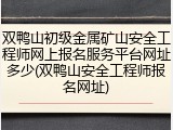 双鸭山初级金属矿山安全工程师网上报名服务平台网址多少(双鸭山安全工程师报名网址)