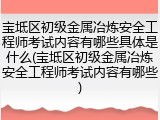 宝坻区初级金属冶炼安全工程师考试内容有哪些具体是什么(宝坻区初级金属冶炼安全工程师考试内容有哪些)