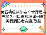 黄石初级消防安全管理员考完多久可以查成绩如何查(黄石消防考完查成绩)
