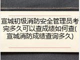 宣城初级消防安全管理员考完多久可以查成绩如何查(宣城消防成绩查询多久)