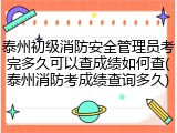 泰州初级消防安全管理员考完多久可以查成绩如何查(泰州消防考成绩查询多久)
