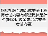 铜陵初级金属冶炼安全工程师考试内容有哪些具体是什么(铜陵初级金属冶炼安全考试内容)