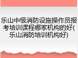 乐山中级消防设施操作员报考培训课程哪家机构的好(乐山消防培训机构好)