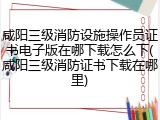 咸阳三级消防设施操作员证书电子版在哪下载怎么下(咸阳三级消防证书下载在哪里)