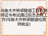 乌鲁木齐桥梁隧道工程检测师证书考试通过后怎么找工作(乌鲁木齐桥梁隧道检测师就业)