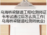 乌海桥梁隧道工程检测师证书考试通过后怎么找工作(乌海桥梁隧道检测师就业)