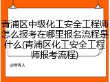 青浦区中级化工安全工程师怎么报考在哪里报名流程是什么(青浦区化工安全工程师报考流程)
