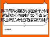 那曲高级消防设施操作员考试成绩公布时间如何查询(那曲消防考试成绩查询时间)